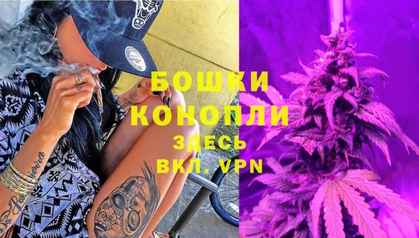 СК Аркадак